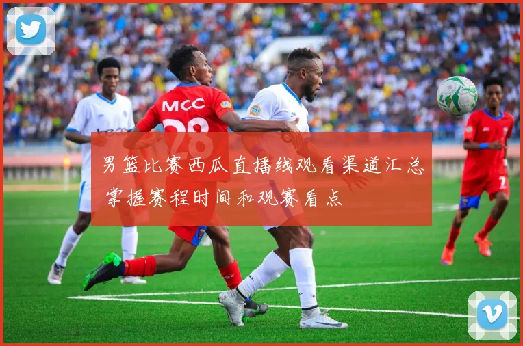 男篮比赛西瓜直播线观看渠道汇总 掌握赛程时间和观赛看点