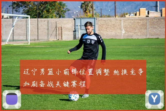 辽宁男篮小前锋位置调整 轮换竞争加剧备战关键赛程