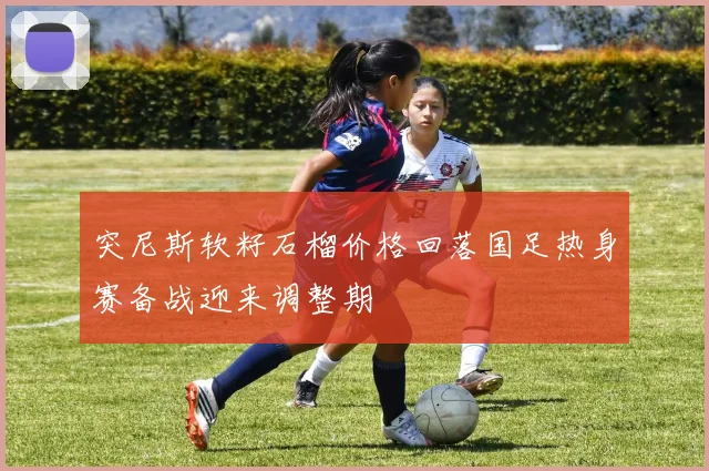 突尼斯软籽石榴价格回落国足热身赛备战迎来调整期