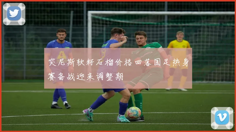 突尼斯软籽石榴价格回落国足热身赛备战迎来调整期