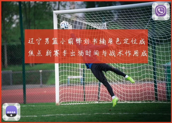 辽宁男篮小前锋刘书楠角色定位成焦点 新赛季出场时间与战术作用成看点