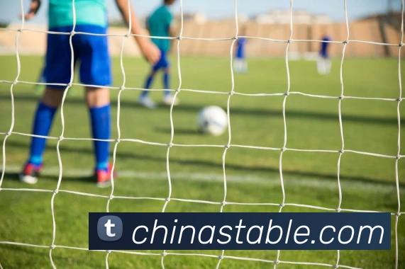 华会体育官网品牌故事