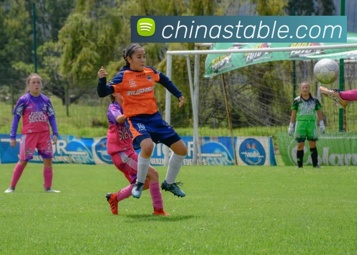 华会体育官网服务体系